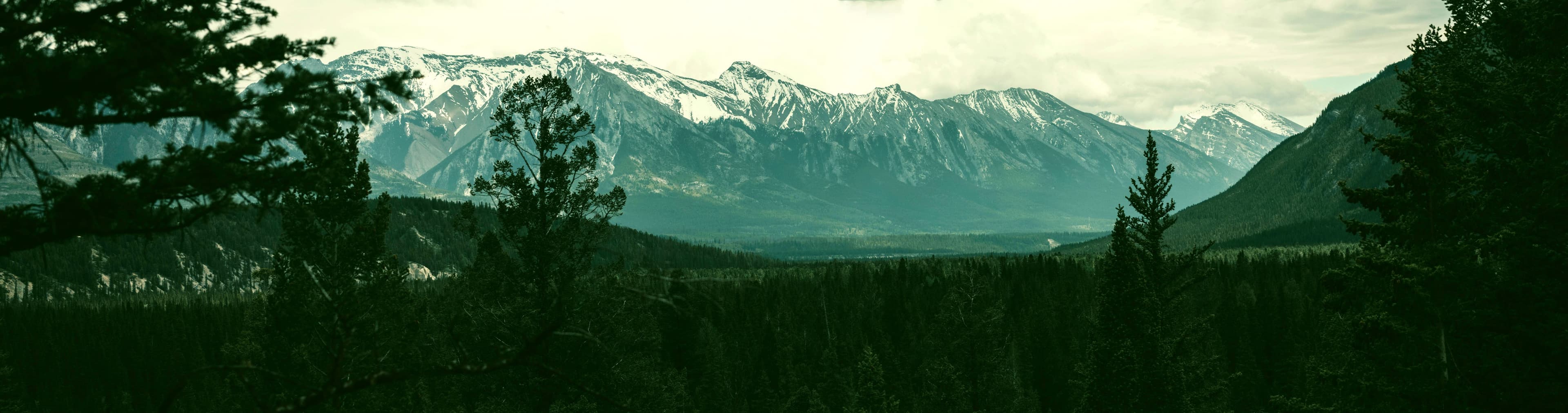 Photo of mountain landscape with green trees and grass in the foreground