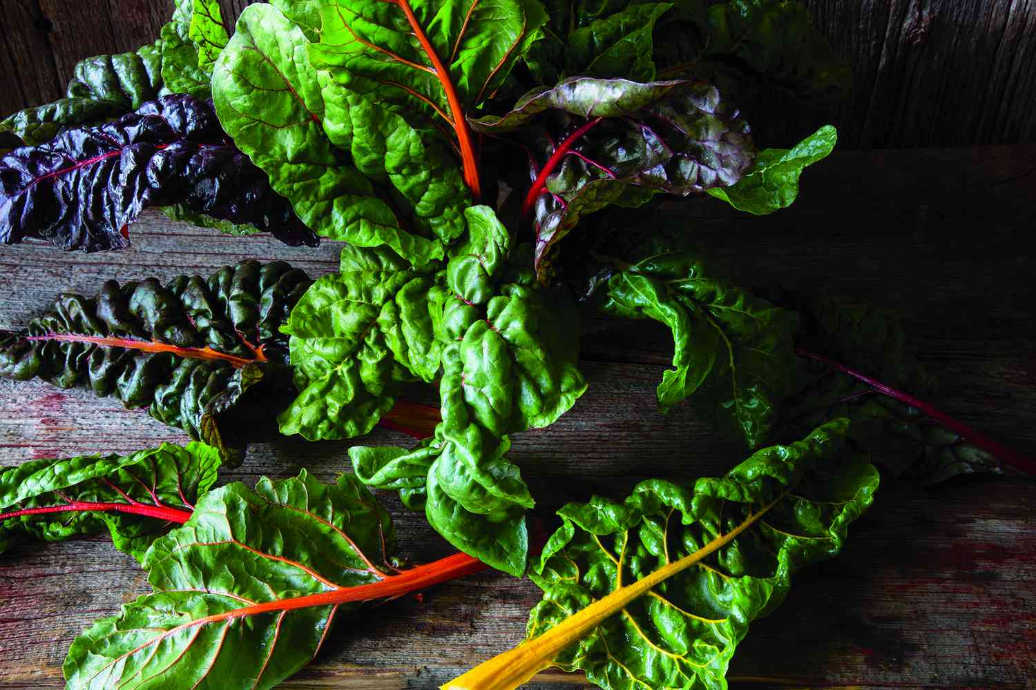 Close-up photo of wet Swiss chard leaves with purple stems and water droplets on dark green foliage.