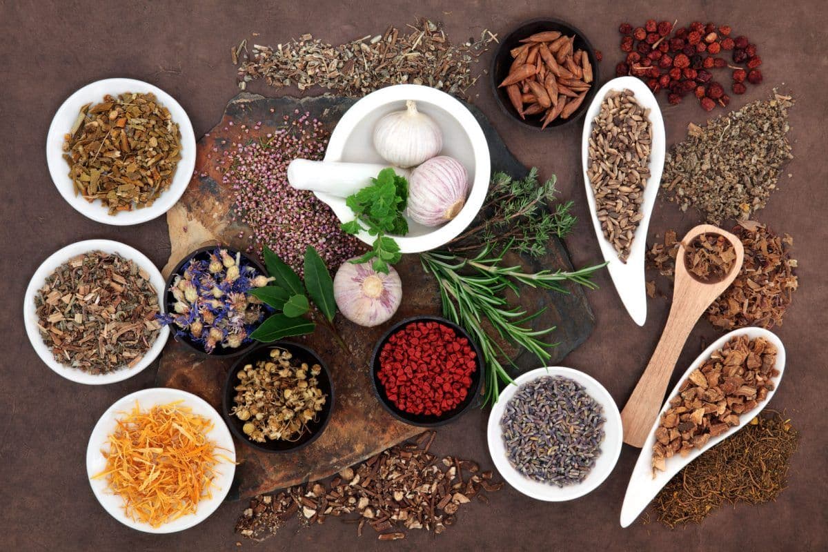 Dried herbs, spices and garlic in white bowls around a mortar and pestle.