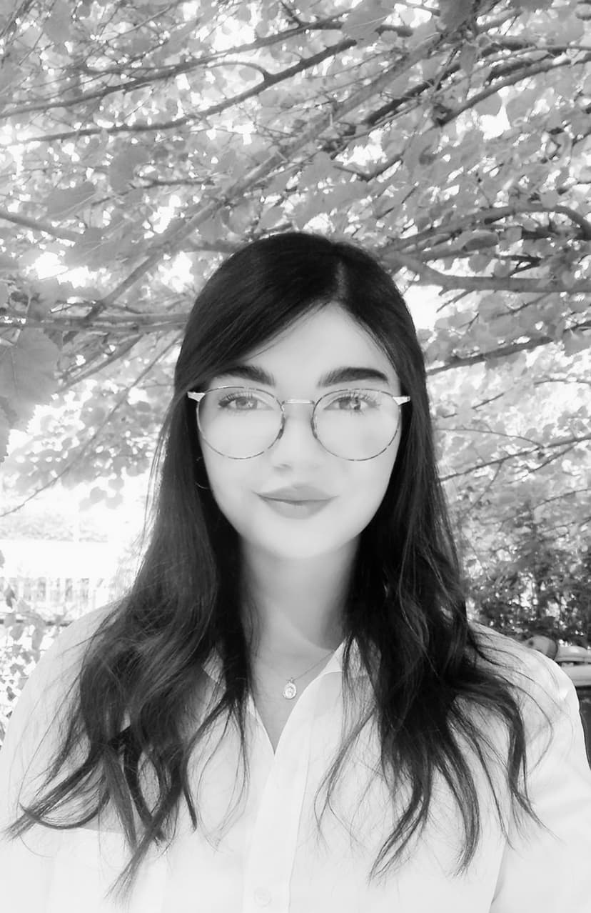 Safa Karoumi
