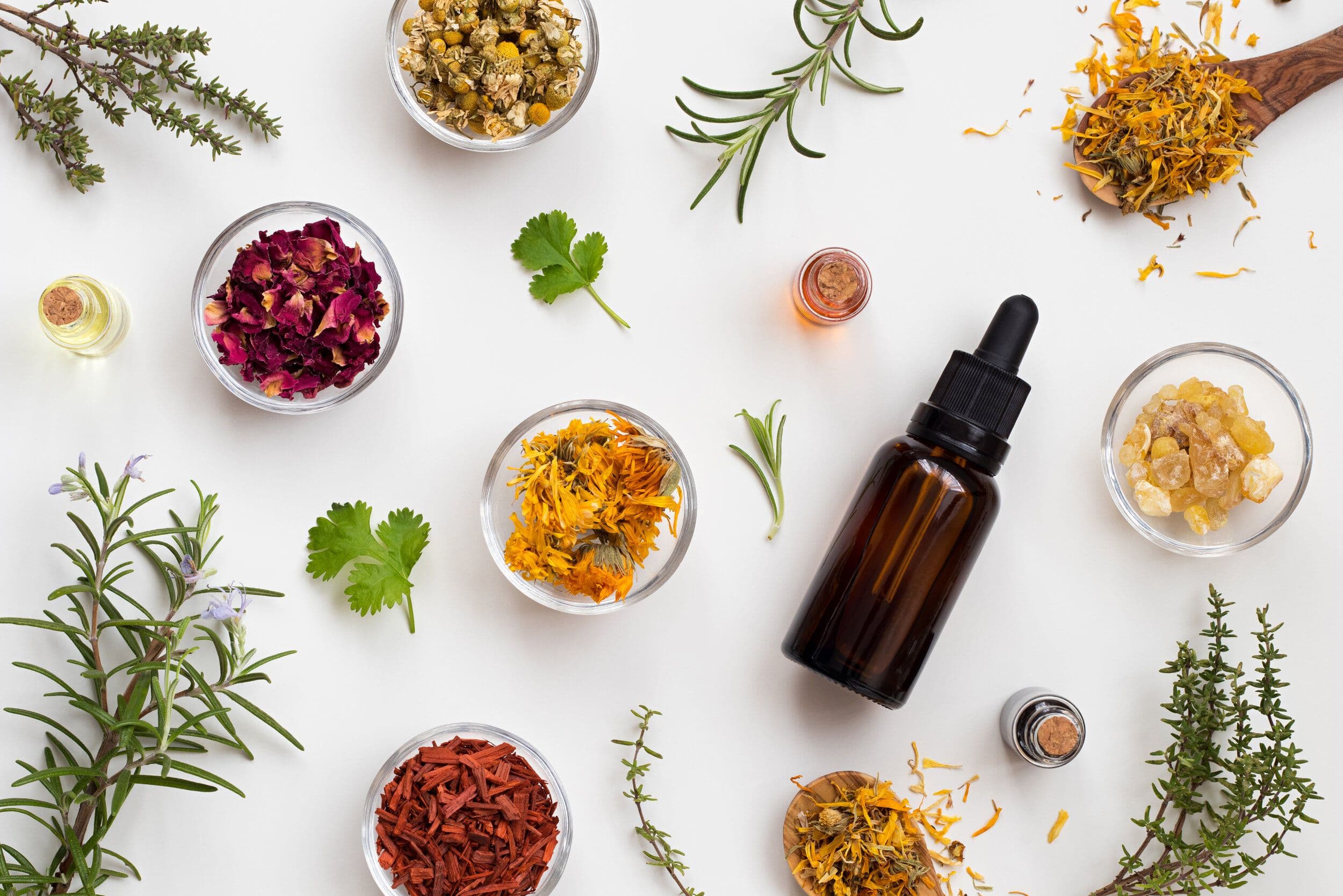 Dried herbs and flowers in small bowls around a dropper bottle.