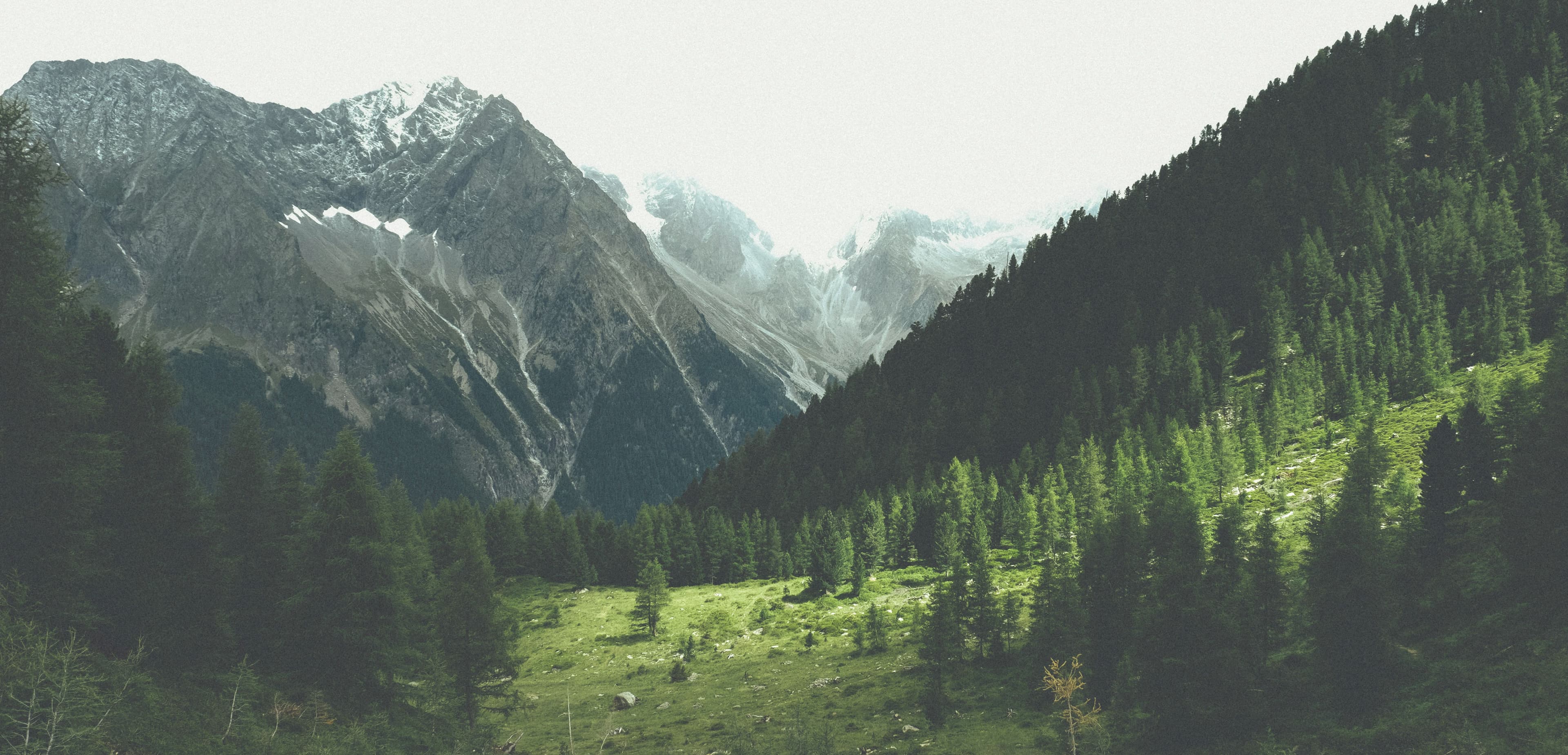 Photo of mountain landscape in the background with green trees and grass in the foreground